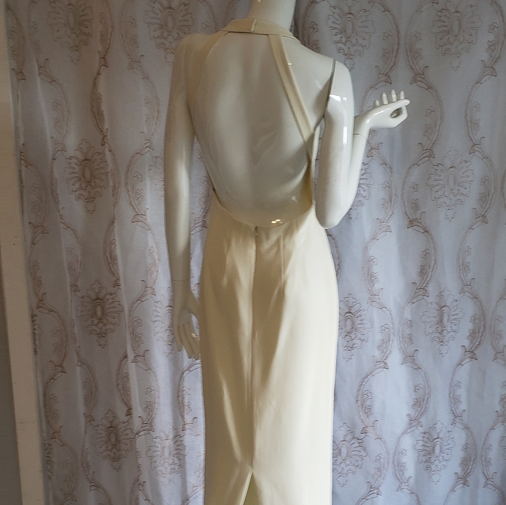 Open Back Form Fitting Cache Dress - image 2